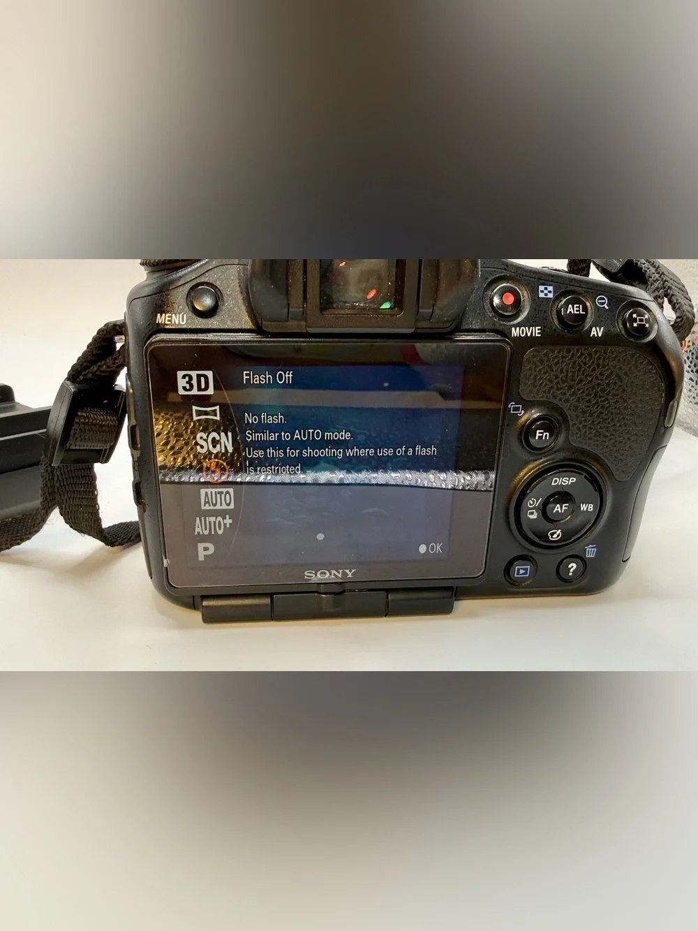 Sony SLT-A65V 24.3 MP Digital SLR with Translucent Mirror Technology - Body Only
